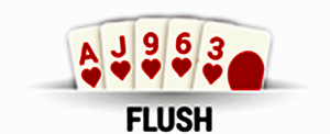 Flush Poker Online